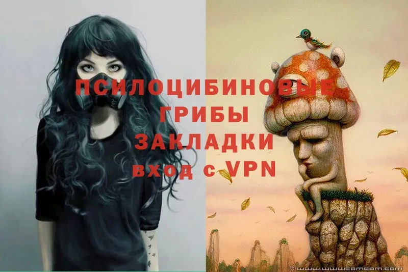 Галлюциногенные грибы Magic Shrooms Северская